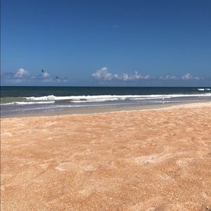 Meet your Posher, Bill